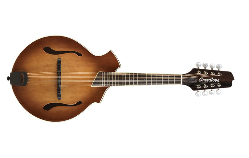 breedlove columbia mandolin