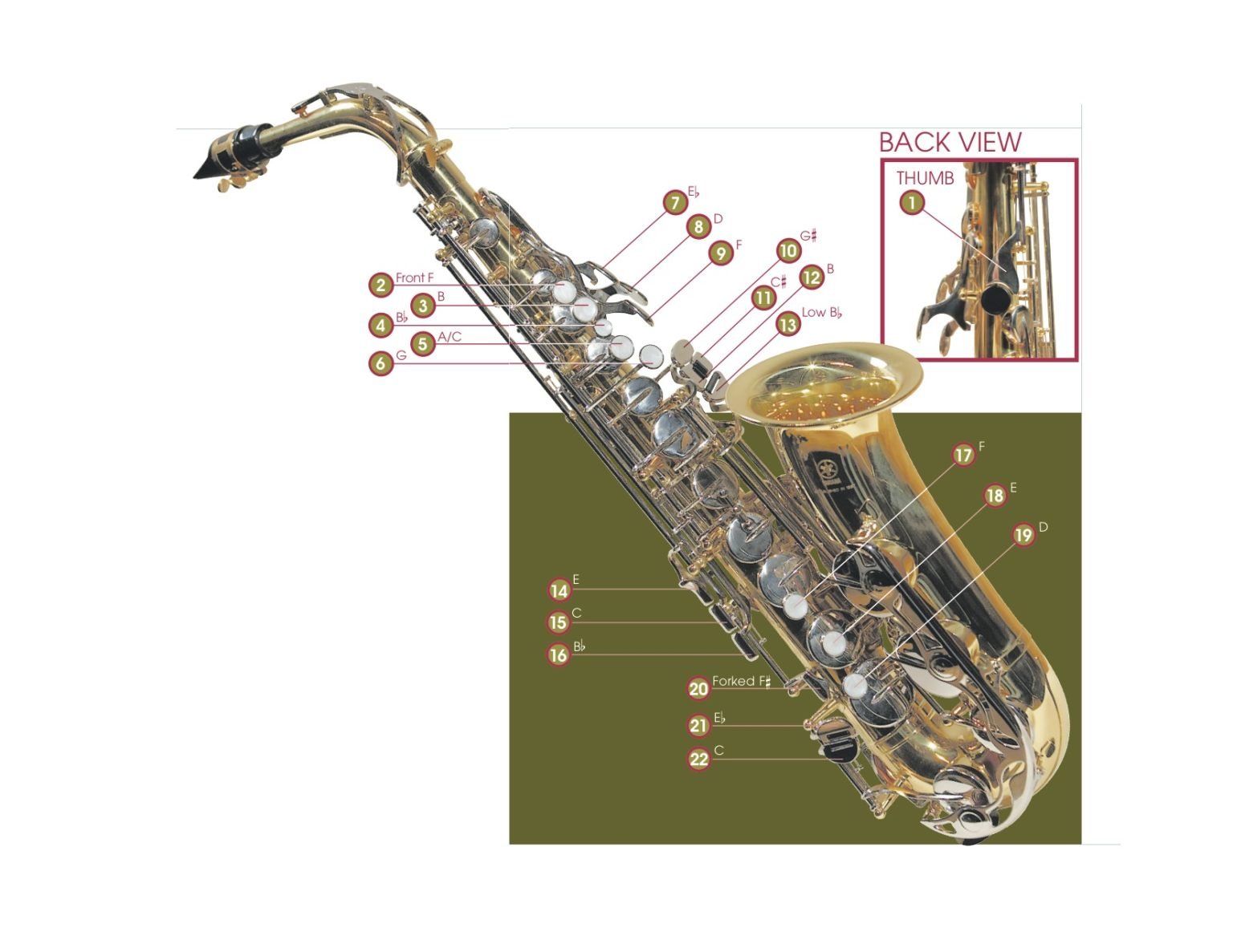 A Guide to Playing Altissimo Saxophone Making Music Magazine