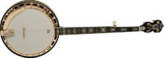 Washburn banjo
